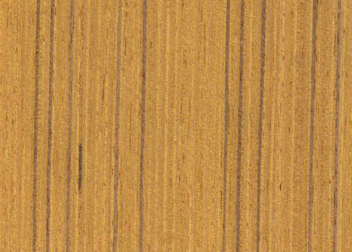 05 (1)
