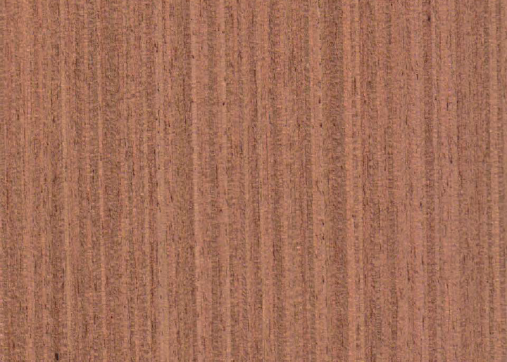 Ak_AP22GRAINLESSSAPELI