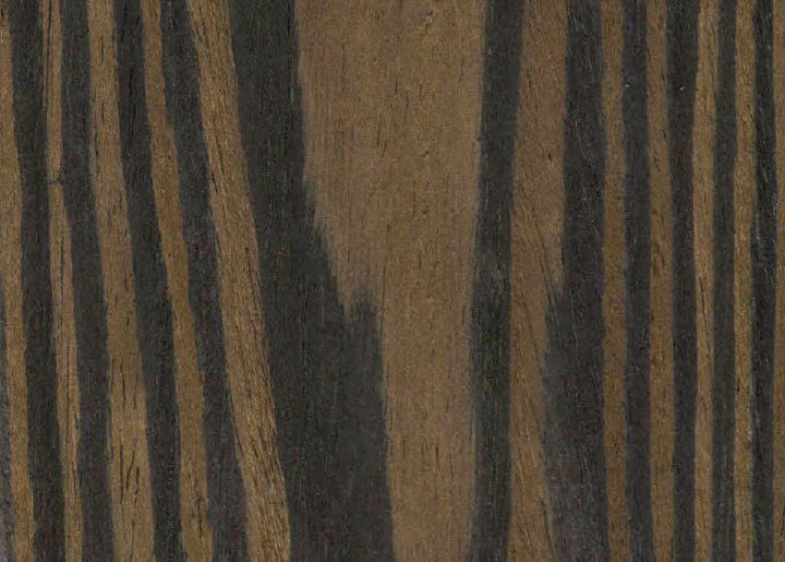 Ak_AP72EBONYFLOWER