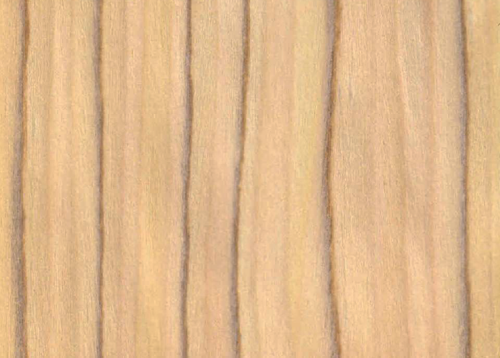 Ak_AP73WHITEMAPLE