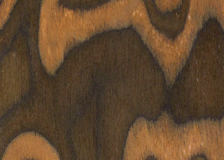 Ak_BP01REDICCAROSEBURL