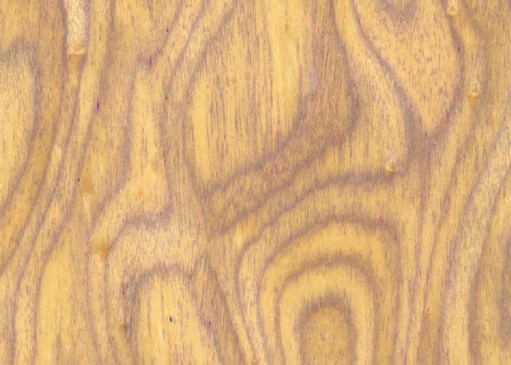 Ak_BP02LIGHTYELLOWBURL