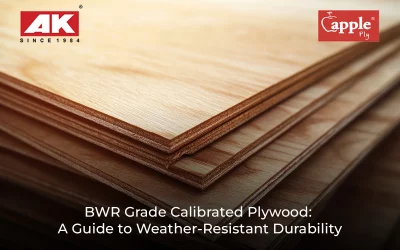 BWR Grade Calibrated Plywood: A Guide to Weather-Resistant Durability