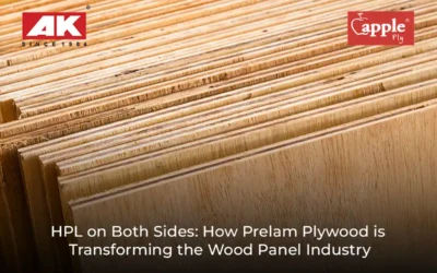HPL Plywood: How Prelam Plywood is Transforming the Wood Panel Industry?