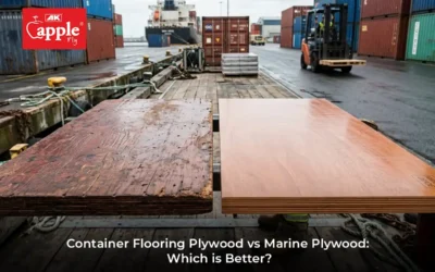 Container Flooring Plywood vs Marine Plywood: Which is Better?